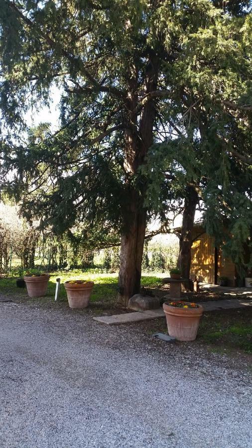 Al Cancello Bed & Breakfast Modena Ngoại thất bức ảnh